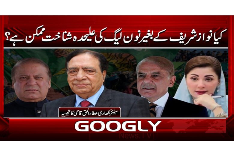 5 نواز شریف کے بغیر نون لیگ 1