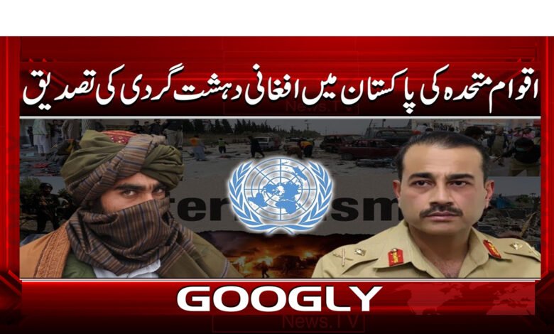 اقوام متحدہ کی پاکستان میں افغانی دہشت گردی کی تصدیق 1 6 افغان طالبان پاکستان میں ہونے والی دہشتگردانہ 1