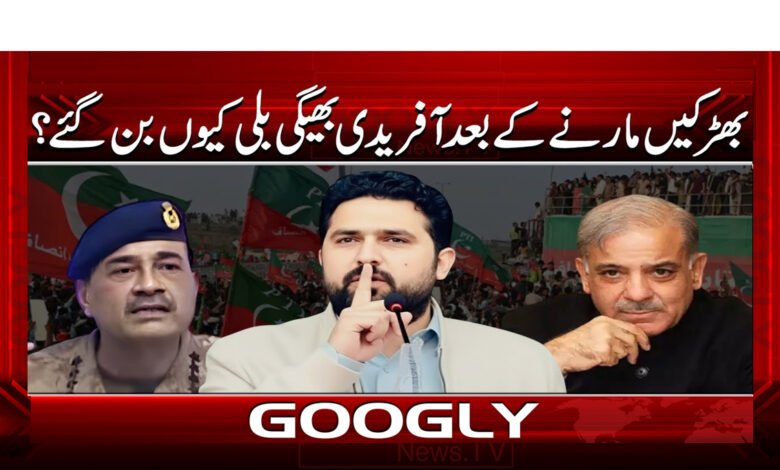 8 بھڑک باز سہیل آفریدی اچانک 1