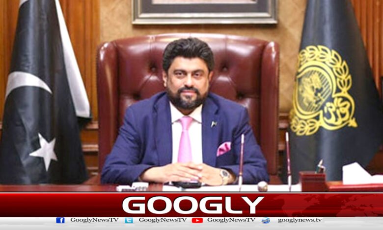 There should be no negotiations with those who hinder the country's development: Sindh Governor