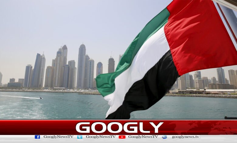 Why did the UAE buy $1 billion worth of shares in the Fauji Foundation?