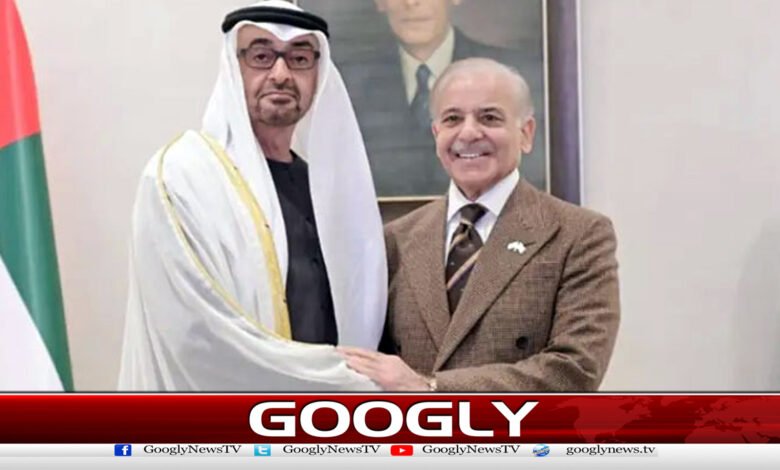 Shahbaz Sharif holds important meeting with Emirati President in Rahim Yar Khan