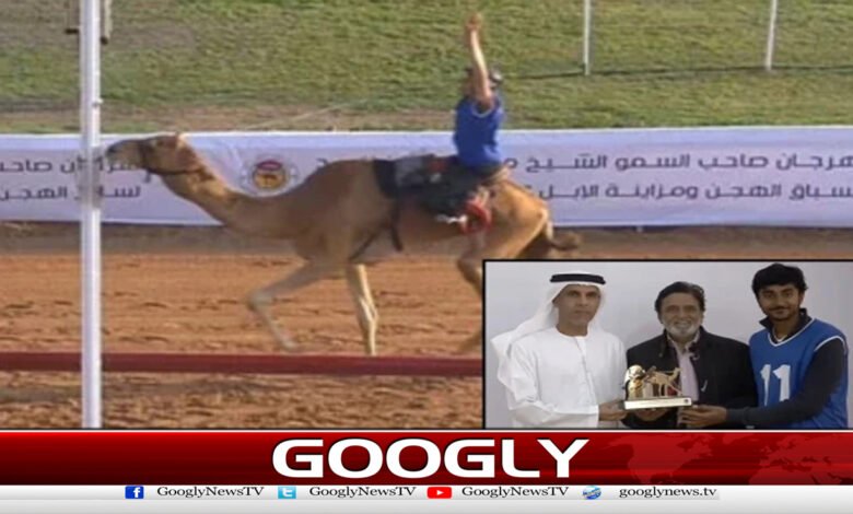 Sharjah: 18-year-old Pakistani youth wins Golden Camel Trophy