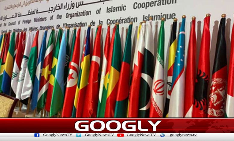 Joint Declaration of Islamic Countries: Israel's Somaliland move is a violation of international law