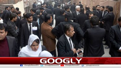 Pakistan Bar Council elections: Asma Jahangir group wins 8 seats in Punjab