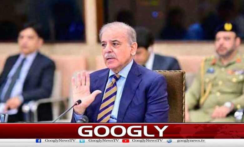 وزیراعظم نے گوادر اور گلگت بلتستان کے بجلی منصوبوں کی منظوری دے دی 1 Prime Minister approves power projects in Gwadar and Gilgit-Baltistan