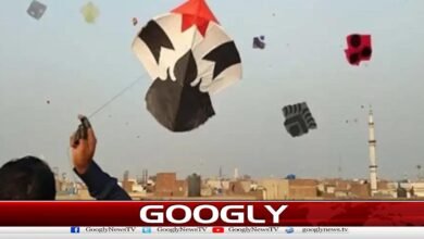 Punjab government officially allows Basant festival to be celebrated