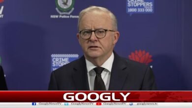 Sydney attack: Australian Prime Minister announces stricter gun laws