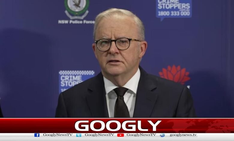 Sydney attack: Australian Prime Minister announces stricter gun laws