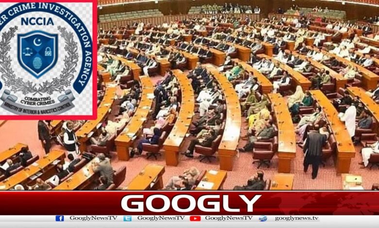 قائمہ کمیٹی آئی ٹی اجلاس: این سی سی آئی اے کی کارکردگی پر سخت سوالات