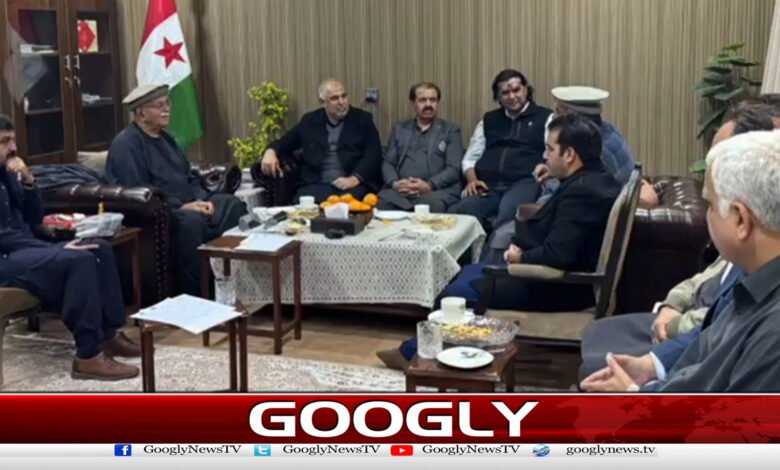 Pakistan's Constitution Preservation Movement supports talks with government