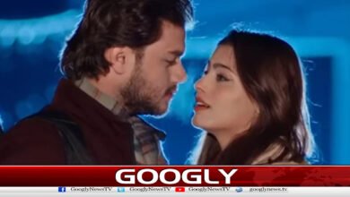 Pakistani film Welcome to Punjab wins international award