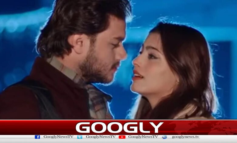 Pakistani film Welcome to Punjab wins international award