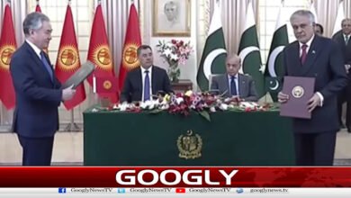 Prime Minister announces Kyrgyzstan's access to global markets