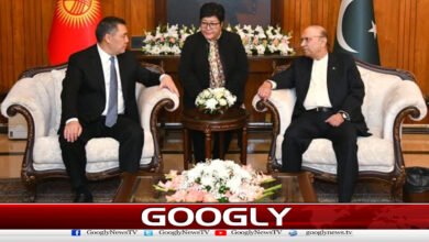 Kyrgyz counterpart meets with President, agrees on economic cooperation