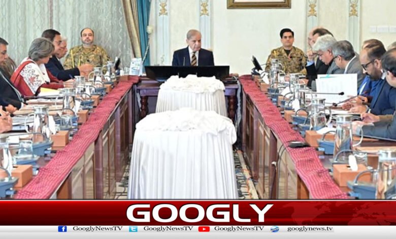 وزیراعظم نے حلال گوشت کی برآمدی پالیسی کی منظوری دیدی 1 Prime Minister approves halal meat export policy