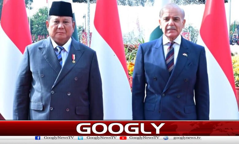 The President of the State conferred the Nishan Pakistan on the President of Indonesia.