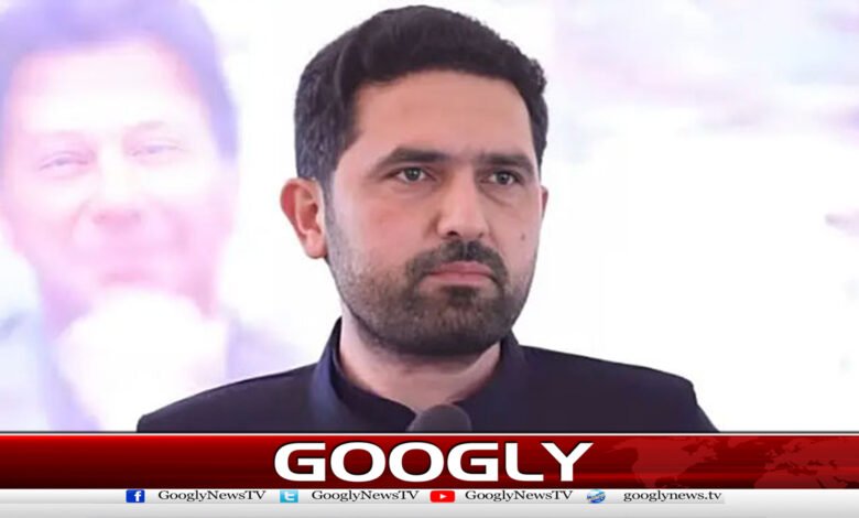 Preparations for protest started on Imran Khan's instructions: Sohail Afridi