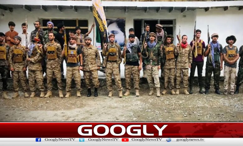 Panjshir, resistance force attack, 17 Afghan Taliban including key commander killed