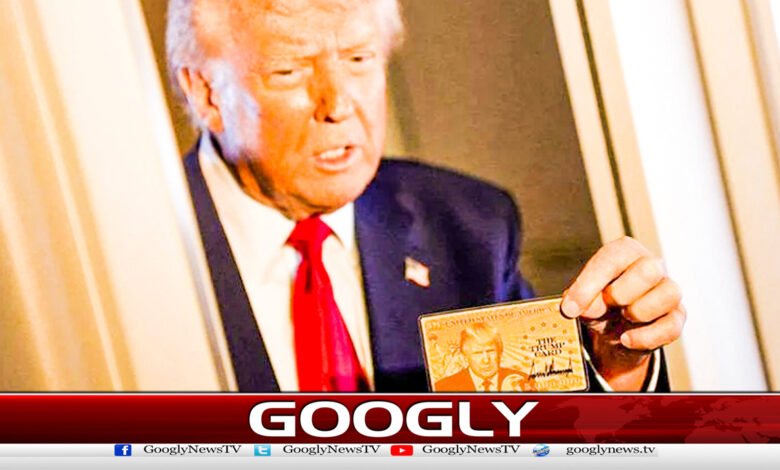 US introduces Gold Card Visa scheme