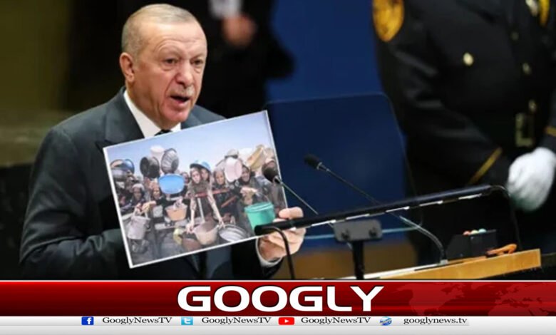 Disarmament of Hamas should be a step-by-step process, says Turkey