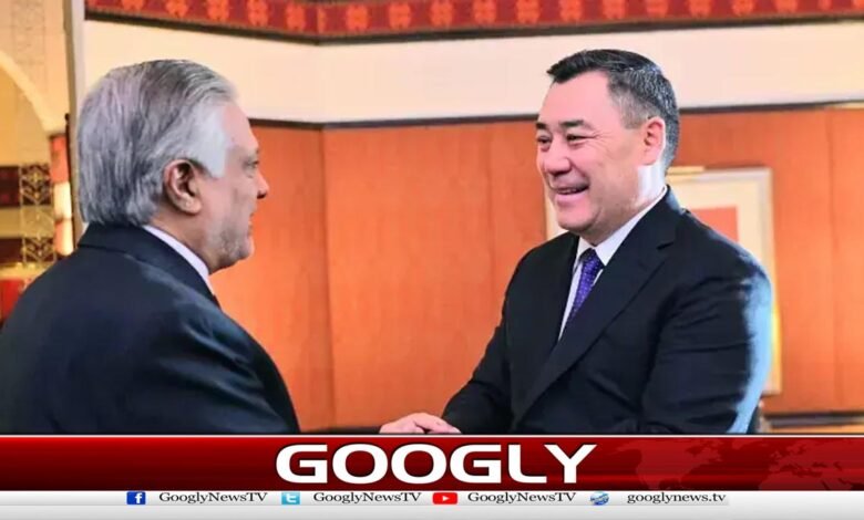 پاکستان اور کرغزستان کے درمیان باہمی تجارت 100 ملین ڈالر تک بڑھانے پر اتفاق 1 دام