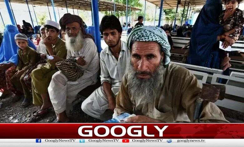 پاکستان میں پھنسے افغانیوں کی منتقلی کا معاملہ: جرمن حکومت پر دباؤ بڑھ گیا 1 Pressure on German government to transfer Afghans stranded in Pakistan increases