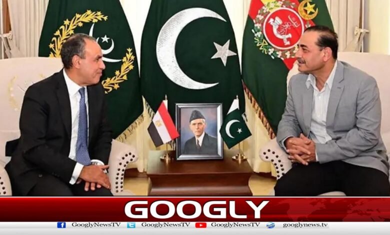 Egyptian Foreign Minister meets Army Chief Field Marshal Asim Munir