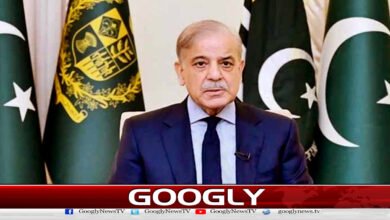 شہباز کی چھٹی، کیا واقعی ملک میں نیا حکومتی سیٹ اپ آنے والا ہے؟ 5 Shahbaz's leave, is a new government setup really coming to the country?