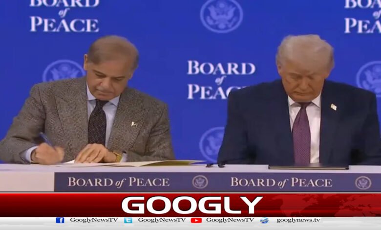 وزیراعظم شہباز شریف نے غزہ بورڈ آف پیس کے چارٹر پر دستخط کردیے 1 Prime Minister Shehbaz Sharif signs the charter of the Gaza Peace Board