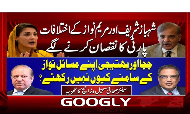 3 شہباز شریف اور مریم نواز کے اختلافات 1