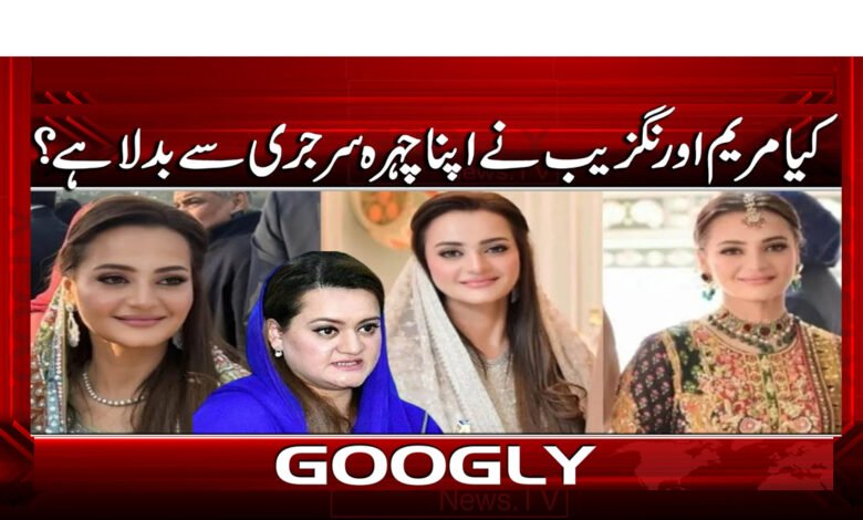 6 جنید کی شادی پر مریم اورنگزیب 1