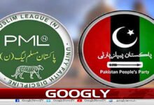 Establishment of an economic zone on Steel Mills land, why are PMLN and PPP facing each other?