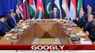 Arab countries welcome US invitation to join Gaza Peace Board