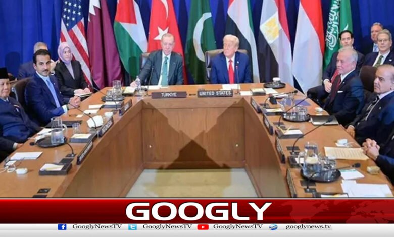 عرب ممالک کا غزہ بورڈ آف پیس میں شمولیت کی امریکی دعو ت کاخیرمقدم 1 Arab countries welcome US invitation to join Gaza Peace Board