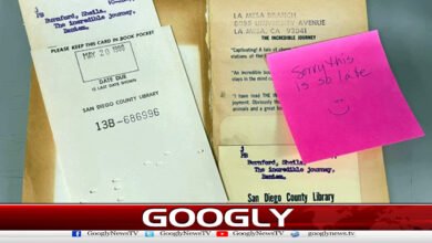 Library gets book back after 46 years
