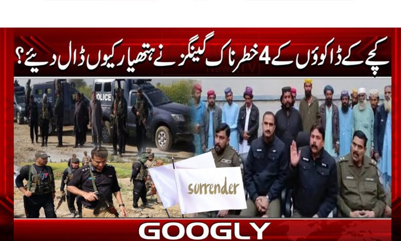 کچے کے ڈاکوؤں کے 4 خطرناک گینگز نے ہتھیار کیوں ڈال دیئے؟ 1 Why did 4 dangerous gangs of Kacha robbers lay down their arms?