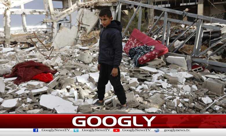 The Saudi Cabinet supports the Gaza Board of Peace