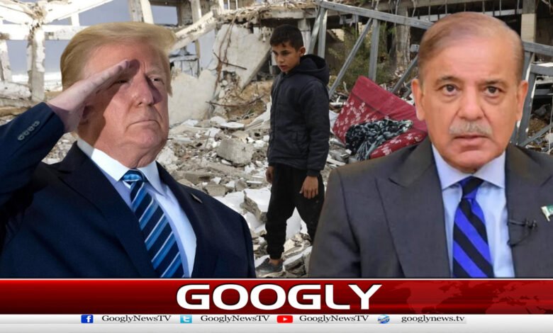 پاکستان نےٹرمپ کی غزہ بورڈ آف پیس میں شمولیت کی دعوت قبول کرلی 1 Pakistan accepts Trump's invitation to join Gaza Peace Board