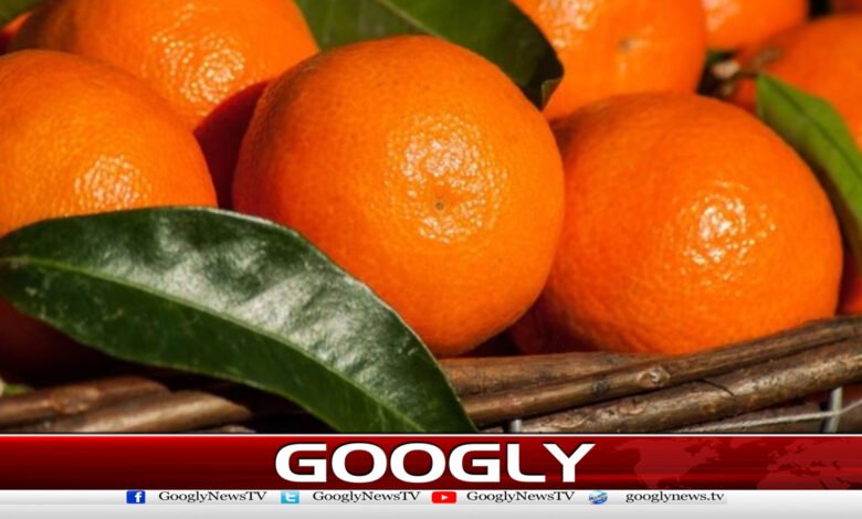 Eating one canola a day is considered best for the digestive system.