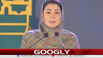 مریم نواز کاپنجاب میں ٹیلی میڈیسن سسٹم متعارف کرانے کا اعلان 5 Maryam Nawaz announces introduction of telemedicine system in Punjab