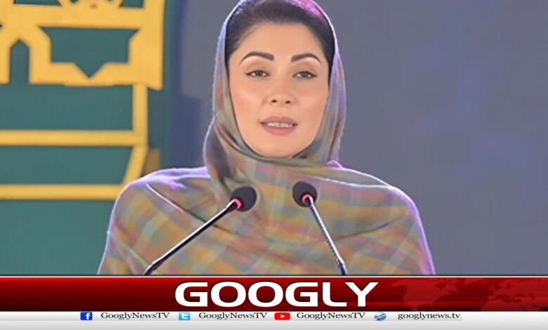 Maryam Nawaz announces introduction of telemedicine system in Punjab