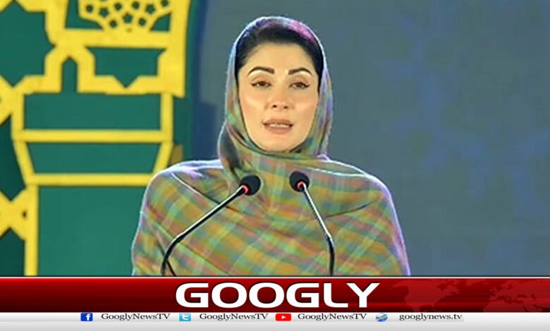 پنجاب میں کسی بھی فتنے کو پنپنےکی اجازت نہیں دی جائےگی،مریم نواز 1 No sedition will be allowed to flourish in Punjab, says Maryam Nawaz