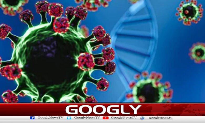 Nipah virus, Sindh Health Department issues advisory