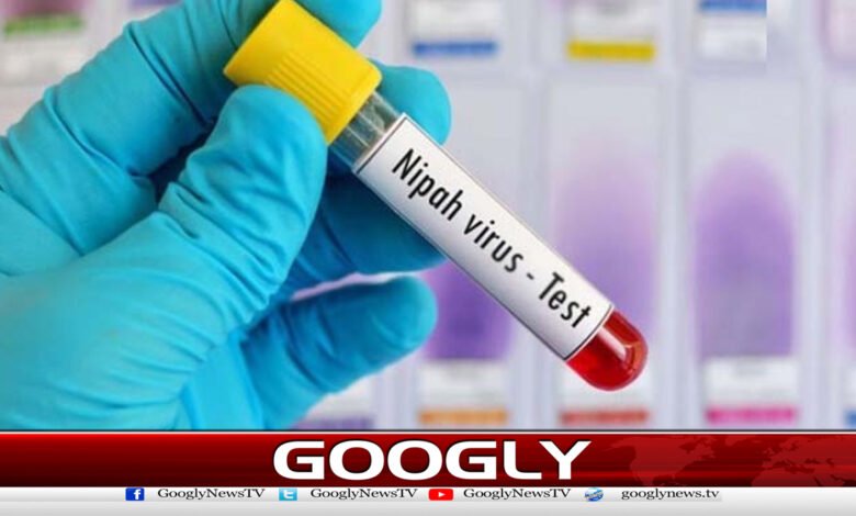 Asian countries tighten surveillance after Nipah virus in India