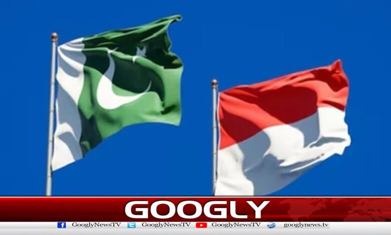 Pakistan, Indonesia agree on medical cooperation