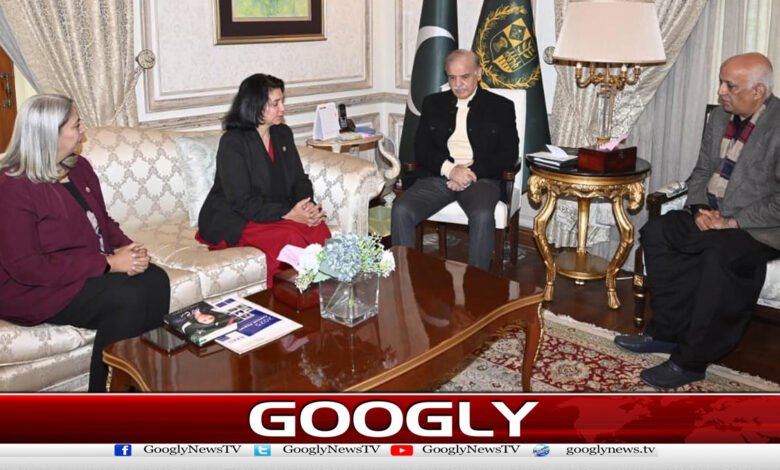 نوجوانوں کو آئی ٹی کی تربیت اولین ترجیحات میں شامل ہے،وزیراعظم 1 IT training for youth is among top priorities, says Prime Minister
