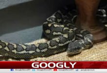 A terrifying dragon climbed into the bed of a sleeping woman.