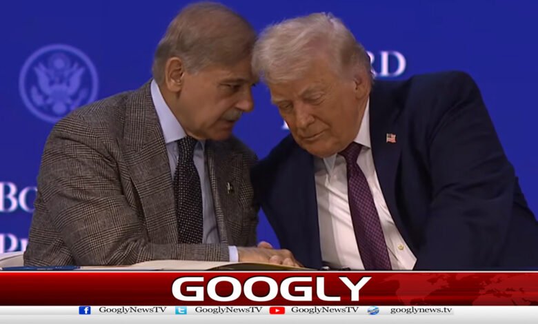 Hope peace will be established in Gaza soon, says Prime Minister Shehbaz Sharif