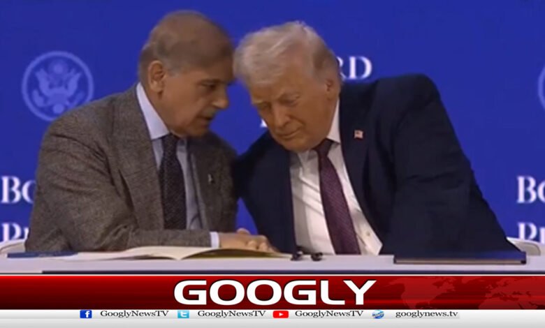 شہبازشریف کی صدر ٹرمپ سے سرگوشیاں توجہ کا مرکز بن گئیں 1 Shahbaz Sharif's whispers to President Trump become the center of attention